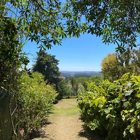 Pateo Do Duque Salir de Matos