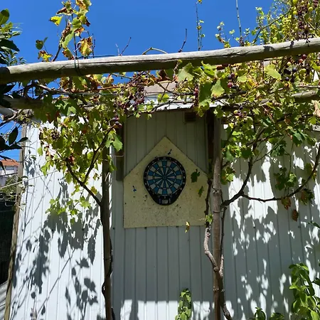 Pateo Do Duque פארק נופש Salir de Matos